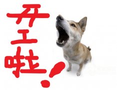 大歐，大歐，開工嘍~~~旺旺旺